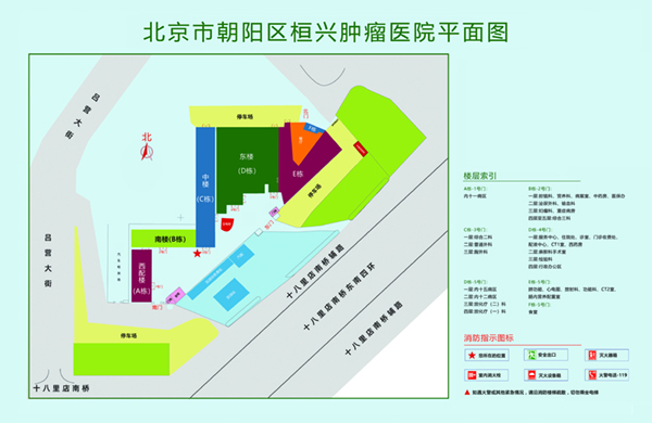 黄色调逼美国北京市朝阳区桓兴肿瘤医院平面图